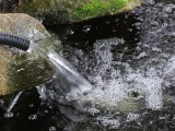 Falling Water
