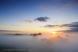 2N9B3640 Vecht Valley treetops in the mist /  Vechtdal boomtoppen