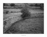 01/09/2017 · Màrgens de pedra seca · Bel-Rossell (Baix Maestrat)