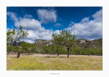 31/03/2018 · La Ballestera - Rossell (Baix Maestrat)