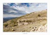 En vistes al Mas de la Belluga · Ares del Maestrat (Comarca de l'Alt Maestrat)