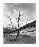 27/09/2018 · Pantā, La Pobla de Benifassā · Baix Maestrat