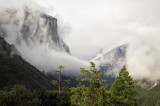 Cloud-wrapped El Capitan w/ hill trees in foreground, Tunnel View.  Looked like a painting to me. S95 #4520