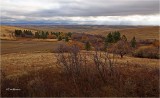 Whitman co Wa