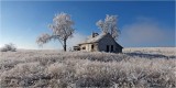 Frosty Homestead