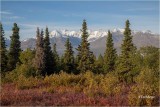 Yukon