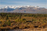 Yukon