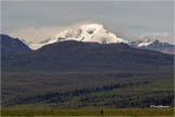  Denali Highway 