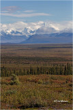  Denali Highway 