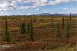  Denali Highway