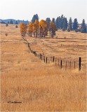 Spokane Co