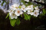 04/30/2017 - _MG_3767.jpg