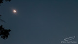 20170821-MVI_6064-1.jpg