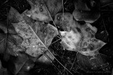 11/14/2017 - LRM_Note4_134328.jpg