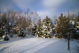 01/02/2018 - _MG_7441.jpg