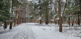 12/26/2018 - LRM-131547.jpg