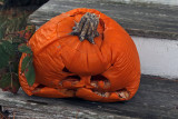 collapsed pumpkin
