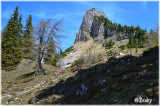 Rofangebirge