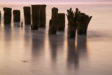 Early Morning Pilings
