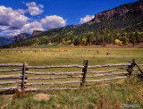 Pastoral scene near Wolf Creek Pass, Colorado