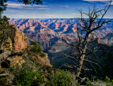 Grand Canyon-South Rim