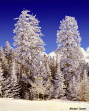 Snowy Scene in the Sandia Mountains