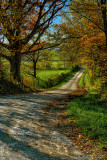 Backroad Fall Scene