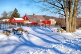 A Good March Snowfall at the Great Barn