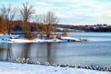 Snow Geese by the Lake