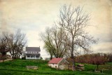 Pastoral Peace at Milky Way Farm