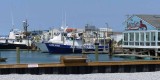 Fishing Docks in Sea Isle City