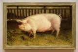 Jamie Wyeth, Portrait of Pig, 1970