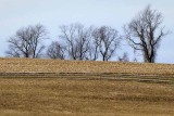 Winters Snowless Landscape 