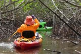 Kayaking in the Everglades