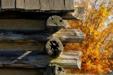 Autumn at the Valley Forge Huts