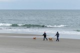 Off-Season Beach Walking With Dogs