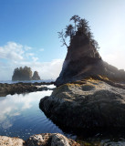 Coastal Beaches