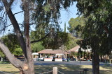Picnic Liên Truờng Bắc Cali 2018