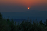 Sleep Sun