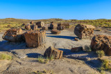 Petrified Forest National Park