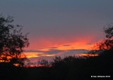 Sunset, Patagonia, AZ, 8-25-18, Jpa_85566.jpg