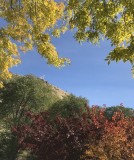 Autumn at ISU