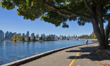 Stanley Park 3