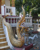 Wat Tha Duea Phra Ubosot Naga (DTHCM1435)