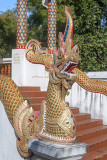 Wat Wichit Wari Phra Ubosot Makara and Naga (DTHCM1774)