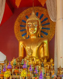 Wat Phra Singh Phra Wihan Luang Principal Buddha Image (DTHCM2543)