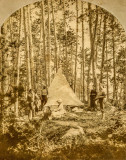 Tent in the Woods 