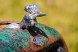 Feminine Lines in an Old Hood Ornament