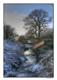 Winter Stream