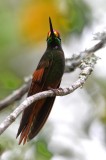 DSC_7314b.jpg